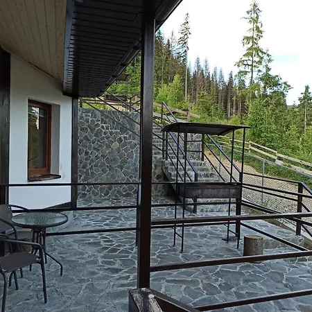 New 2020 Specious Druzi * בוקובל