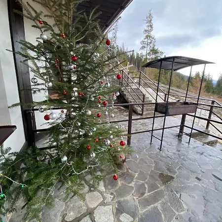 New 2020 Specious Druzi