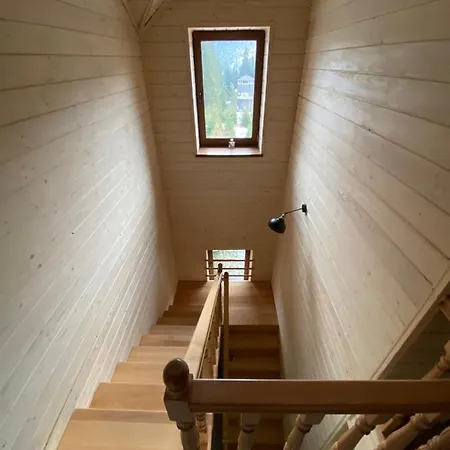 New 2020 Specious Druzi