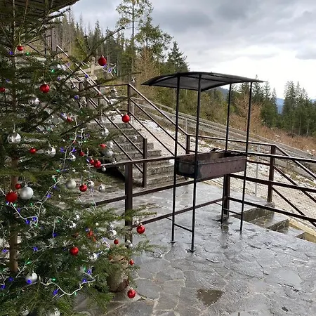 New 2020 Specious Druzi *