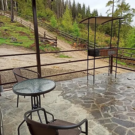 New 2020 Specious Druzi בוקובל